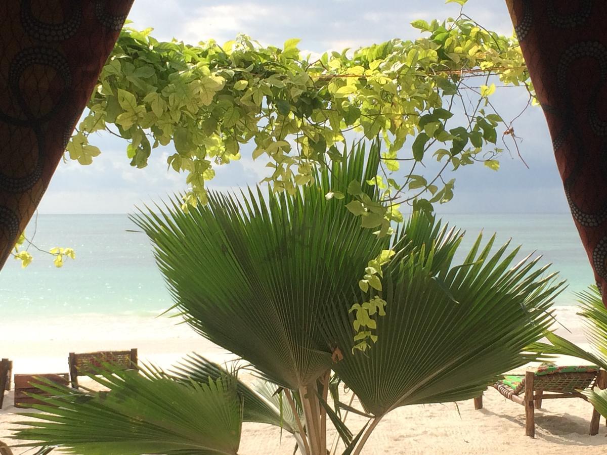 Simba Beach Zanzibar Kiwengwa  Luaran gambar