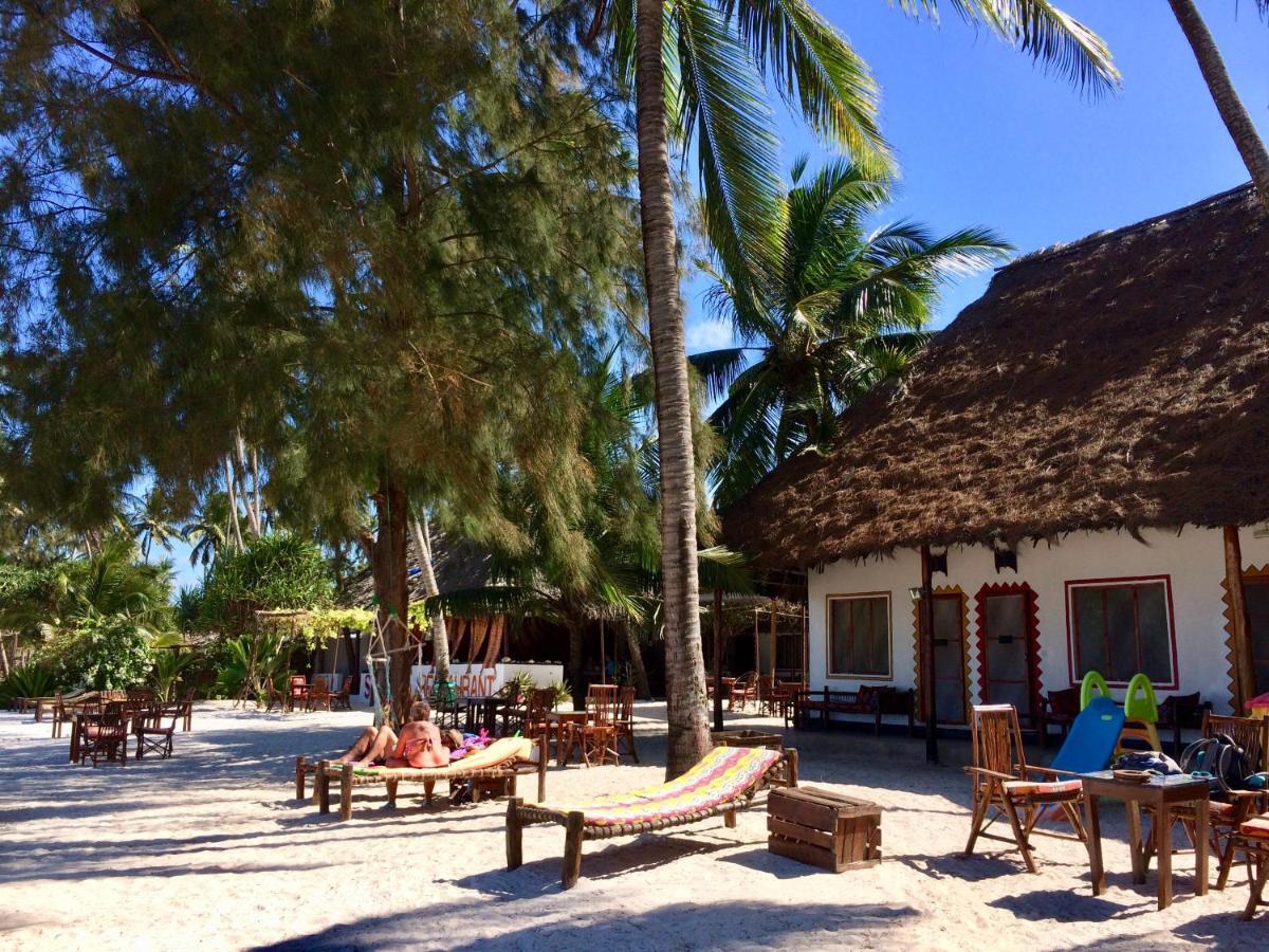 Simba Beach Zanzibar Kiwengwa  Luaran gambar